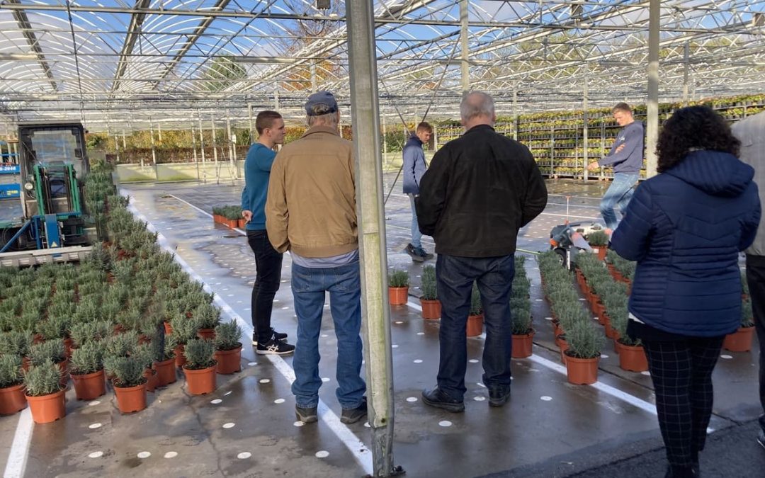 Werkbezoek kwekerijen Streng Growers B.V. en De Jong Plant B.V.
